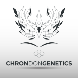 Logo Design by owlandcatdesign