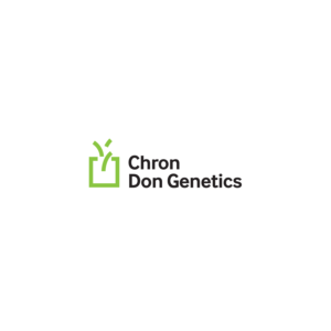 Logo Design by Birdesign