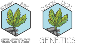 Diseño de Logo por gabriele.arcari para este proyecto | Diseño: #24003092