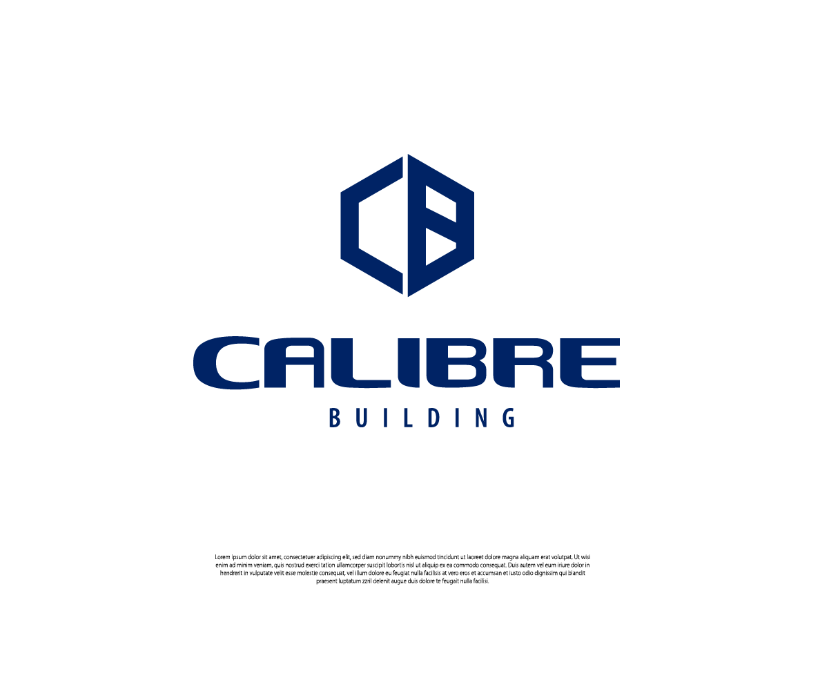 Logo Design by Ng V Duc for this project | Design #23954622