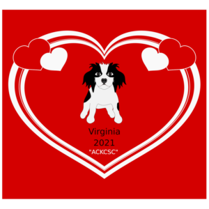 Graphic Design by cs_art for American Cavalier King Charles Spaniel Club | Design: #24015886
