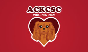Graphic Design by stealth_ferret for American Cavalier King Charles Spaniel Club | Design: #23997387