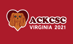 Graphic Design by stealth_ferret for American Cavalier King Charles Spaniel Club | Design: #24014551