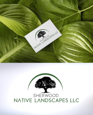 Logo Design by Marco Rubio