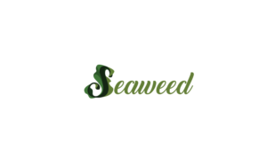 Logo Design by MT