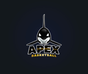 Logo Design by ravznoot.digital