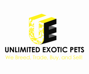 Logo Design by Quyen Ha for this project | Design: #23980729
