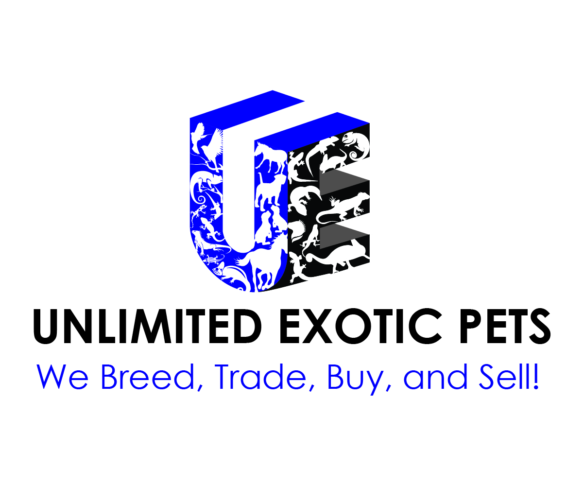 Logo Design by Quyen Ha for this project | Design #23981486