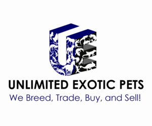 Logo Design by Quyen Ha for this project | Design: #23981486