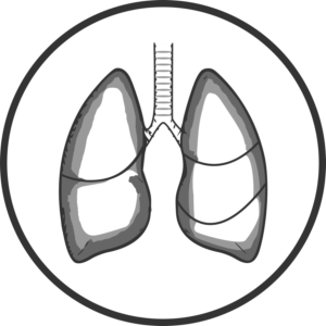 Logo Design by gabriele.arcari for this project | Design: #23982581