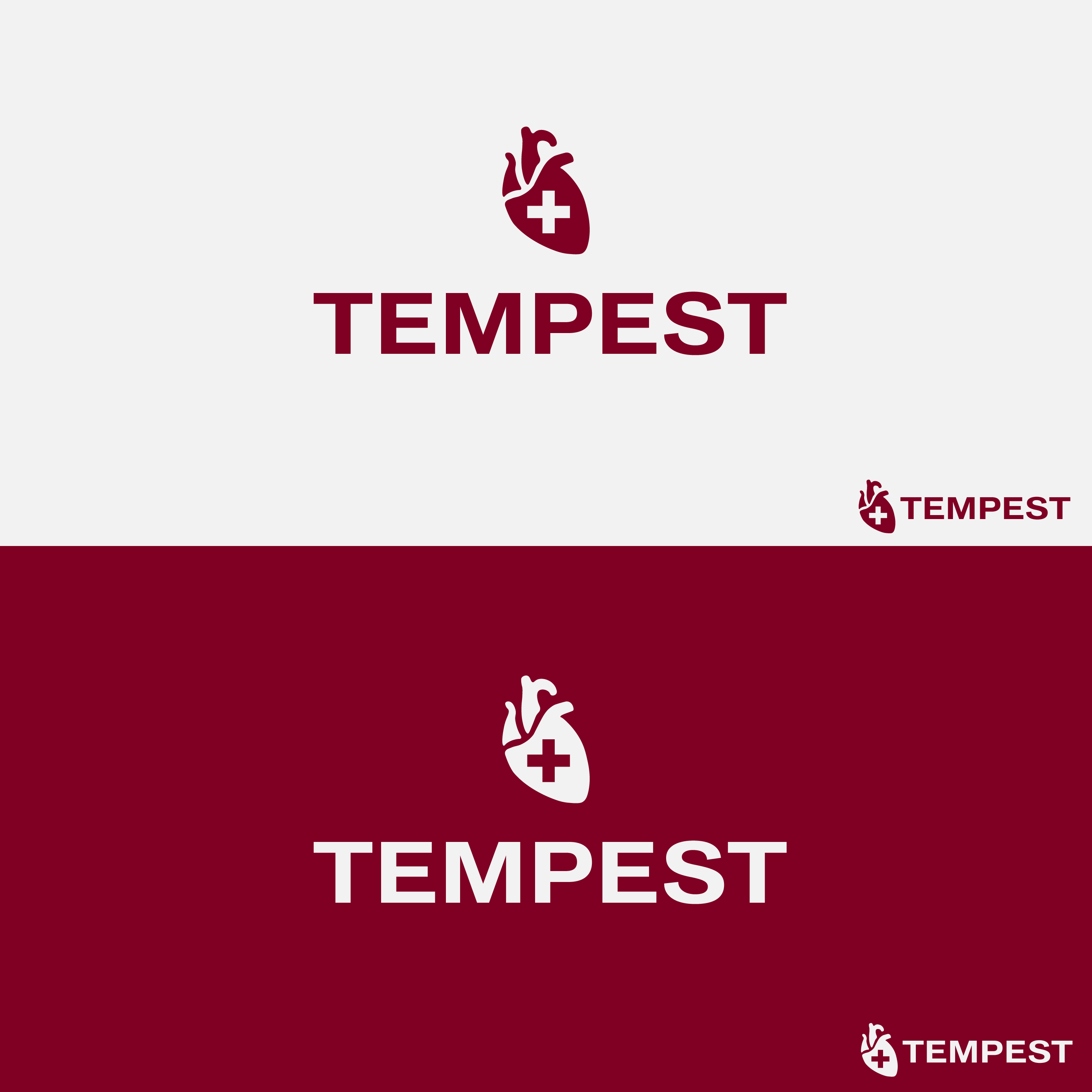 Logo Design by Decimus Designs for this project | Design #24047336