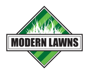 Logo Design by Baseline Creative for this project | Design #24004233