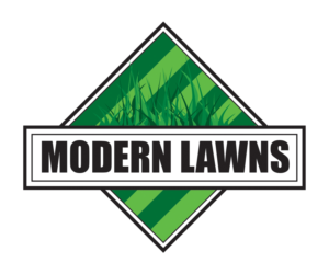 Logo Design by Baseline Creative for this project | Design: #24004245