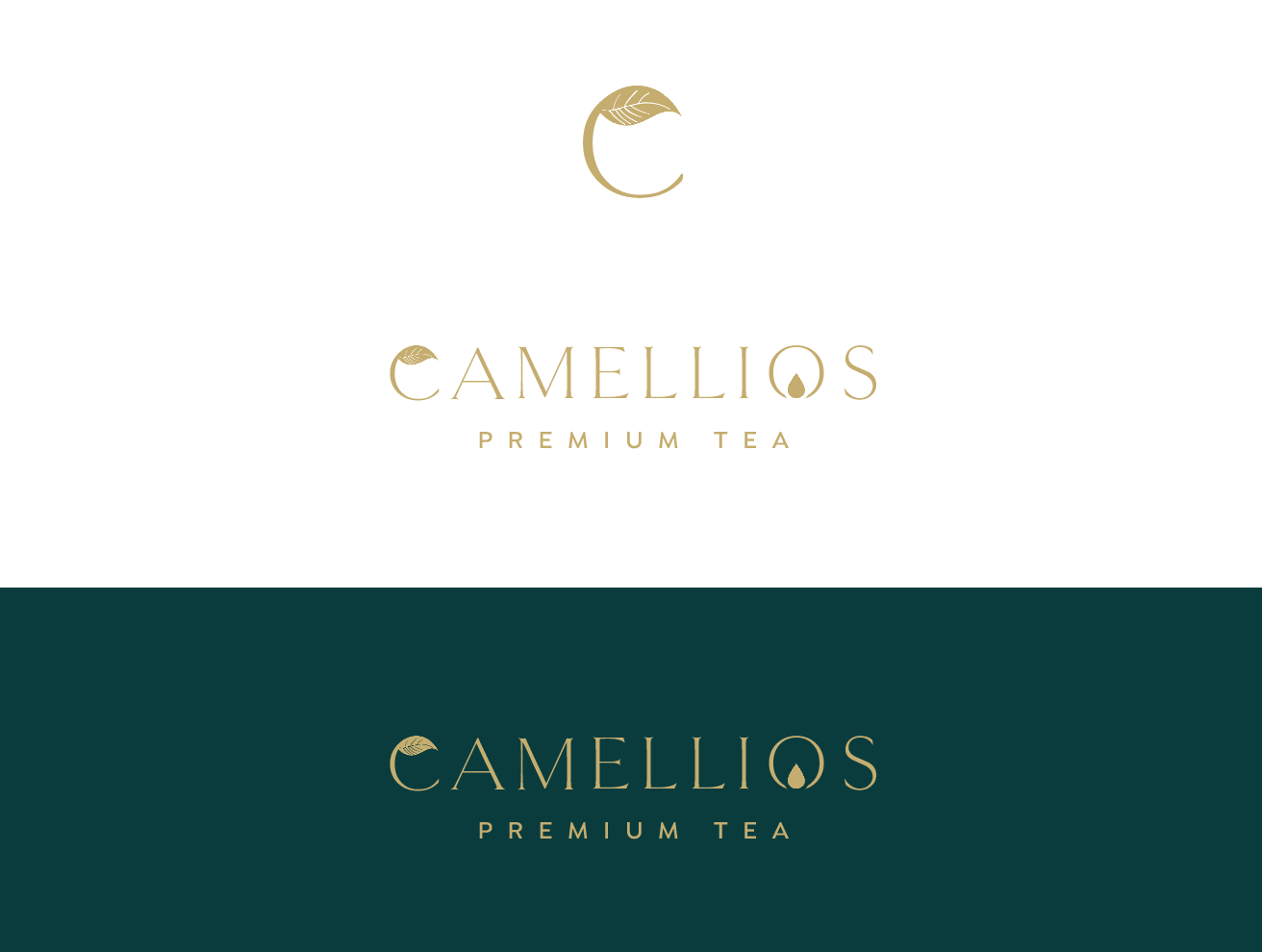 Logo Design by wonderland for this project | Design #24003704