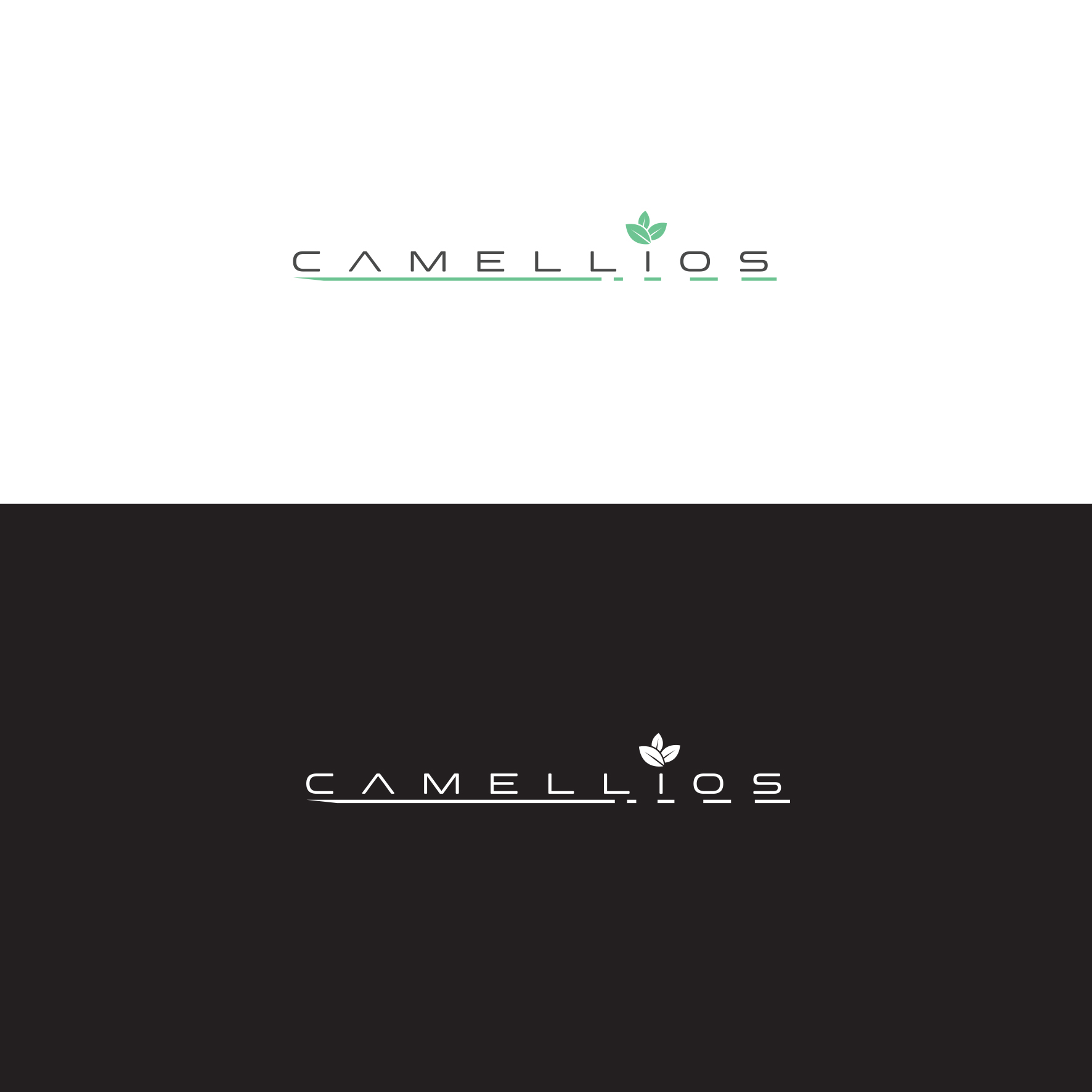 Logo Design by IdentsArt for this project | Design #24002004