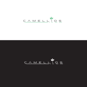 Logo Design by IdentsArt for this project | Design: #24002004