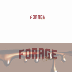 Diseño de Logo por emmanuel 23 para este proyecto | Diseño #24015320