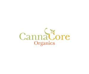 Logo Design by DreamzINSIDE