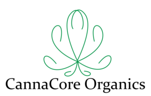 Logo Design by Abigail107