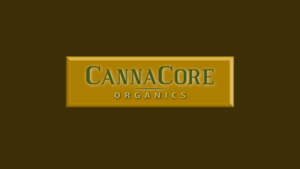 Logo Design by BogdanaBG