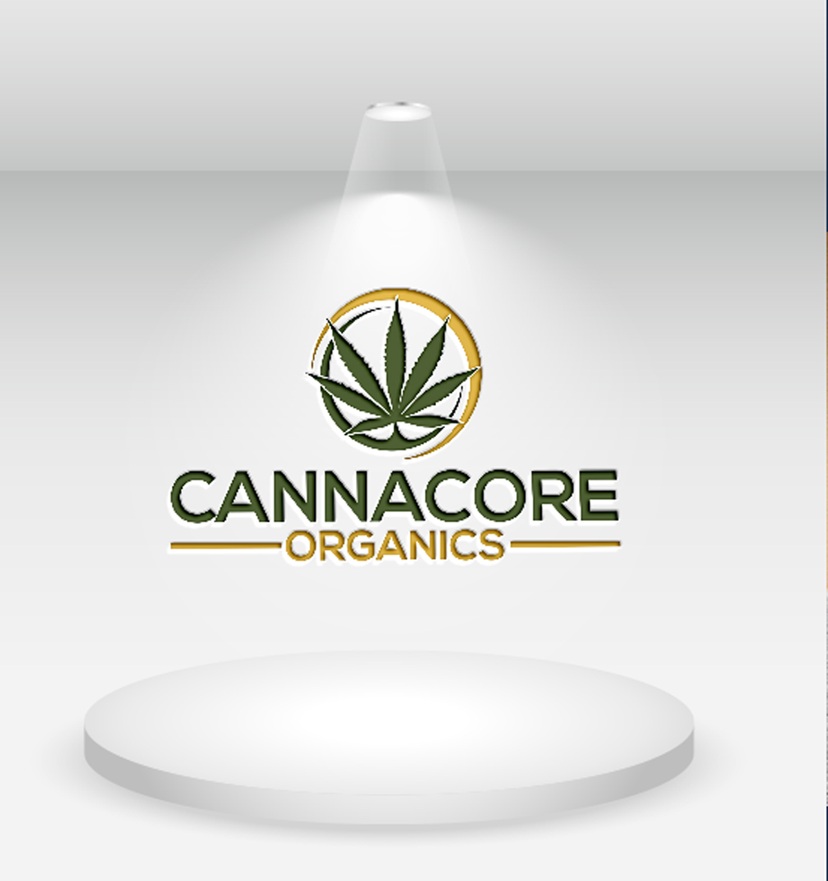 Logo Design by sk moheuddin 2 for this project | Design #24016930