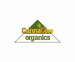 Logo Design by vidarshana 2