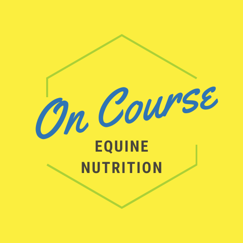 Logo Design by Andrea Coll for On Course Equine Nutrition | Design #24023208