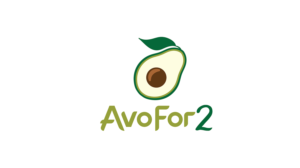 Logo Design by Ayman Solomon