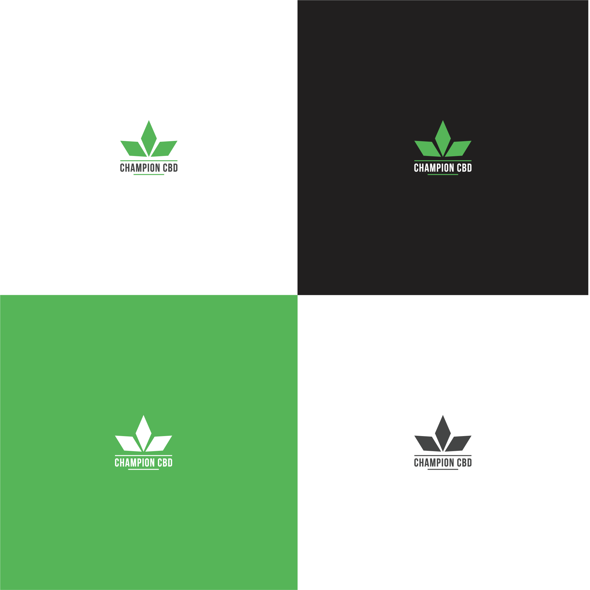 Logo-Design von Bobdesigns für dieses Projekt | Design #24042130