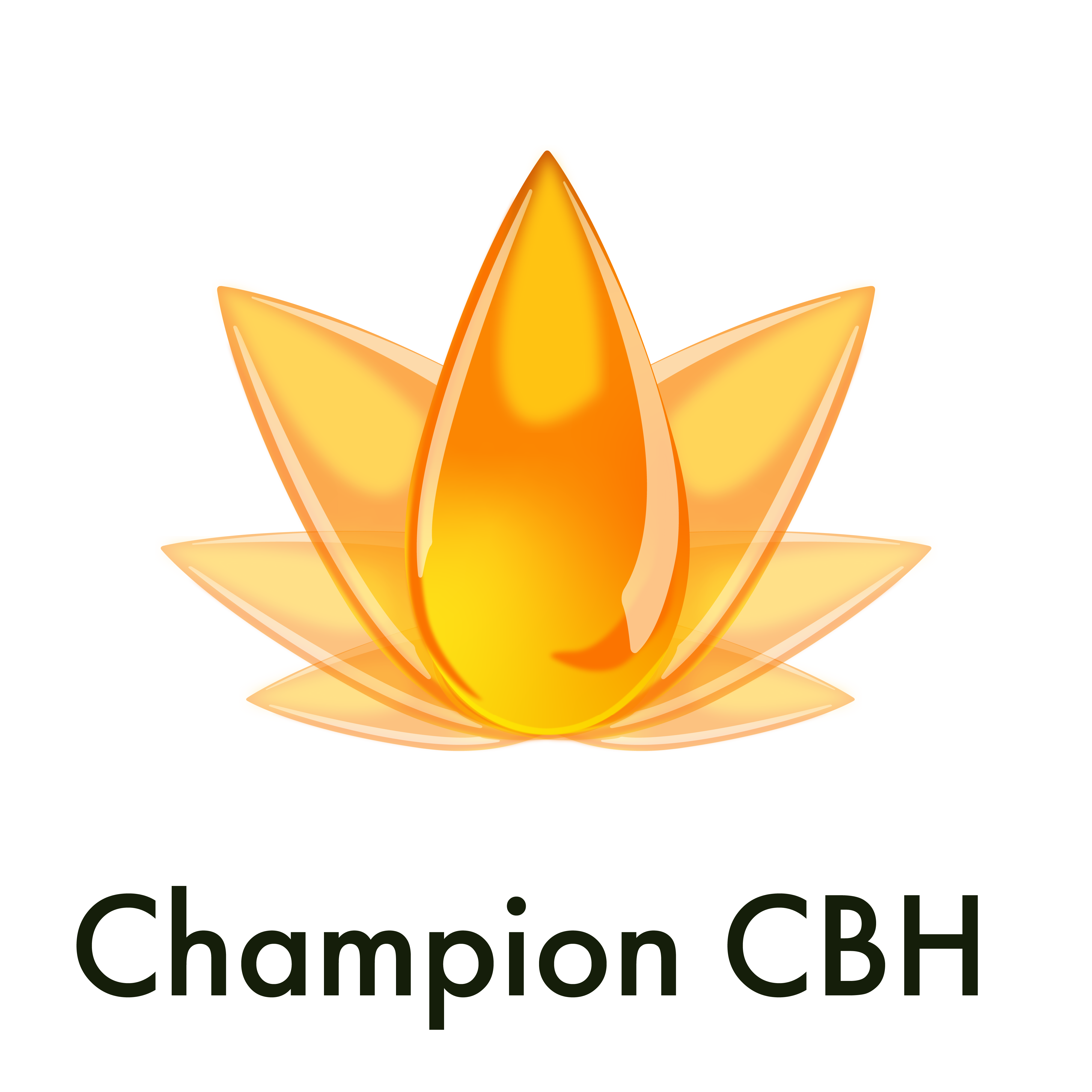 Logo Design by bonbona for this project | Design #24045553