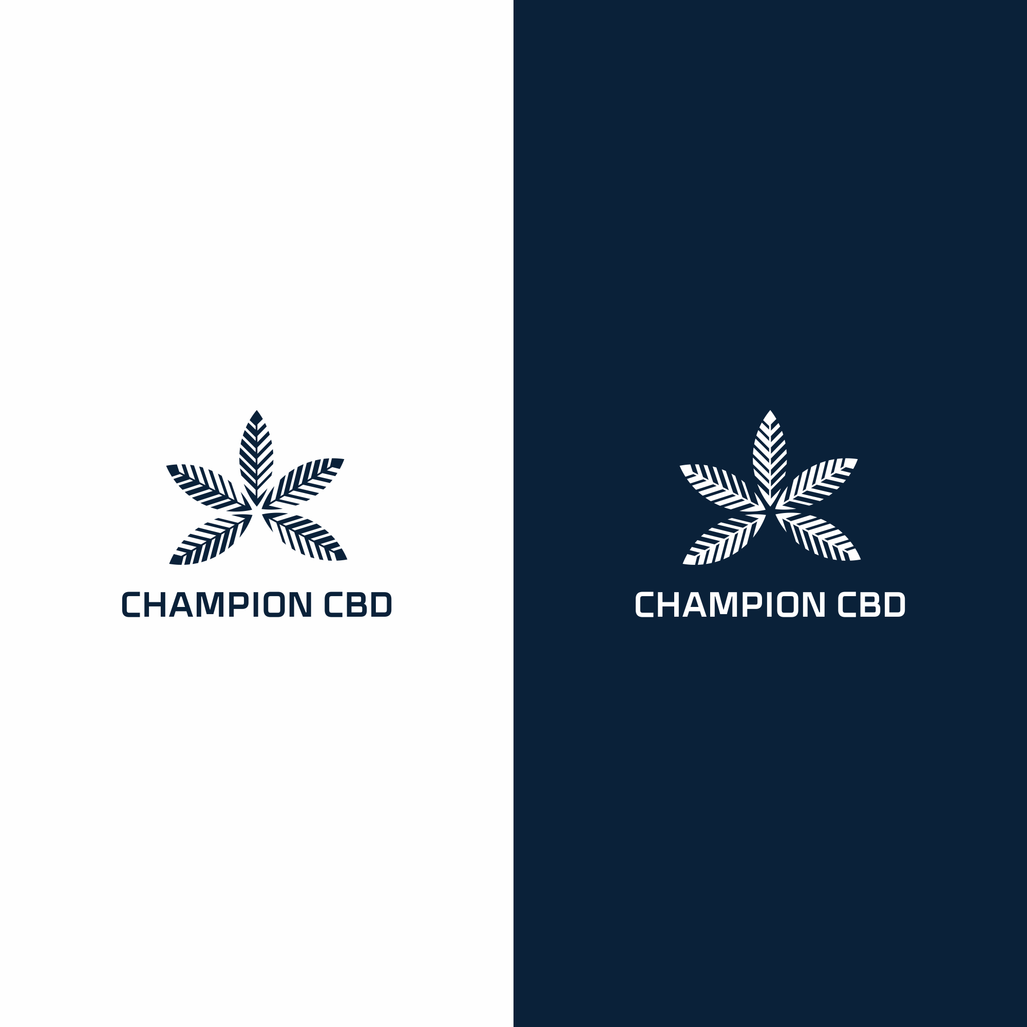 Logo Design by sarada for this project | Design #24043315