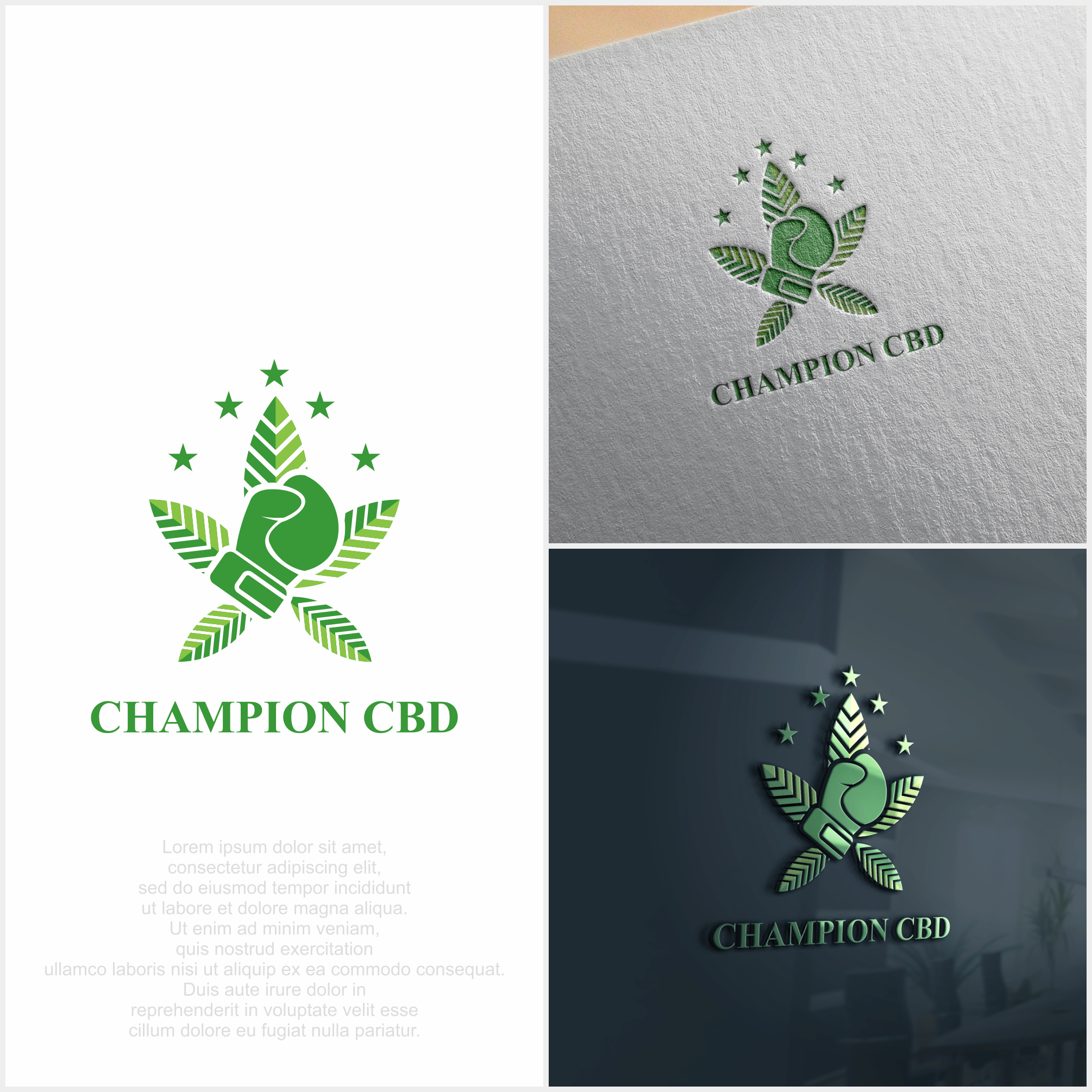 Logo Design by sarada for this project | Design #24043637