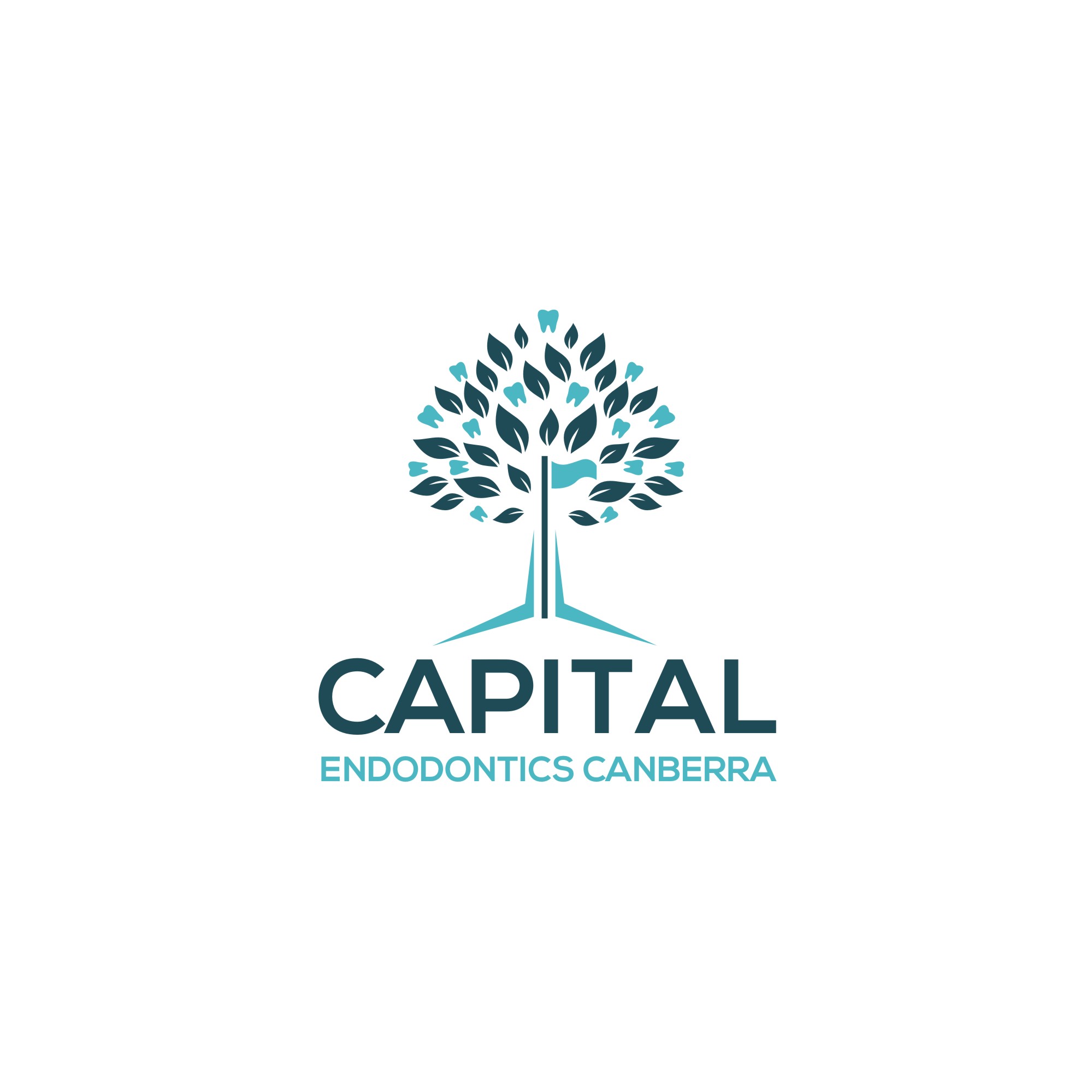 Logo Design by de2hnce2p for this project | Design #24089003
