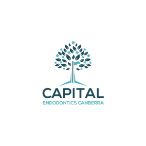 Logo Design by de2hnce2p for this project | Design: #24089003