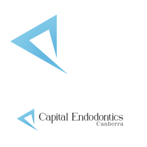 Logo Design by shanshamir