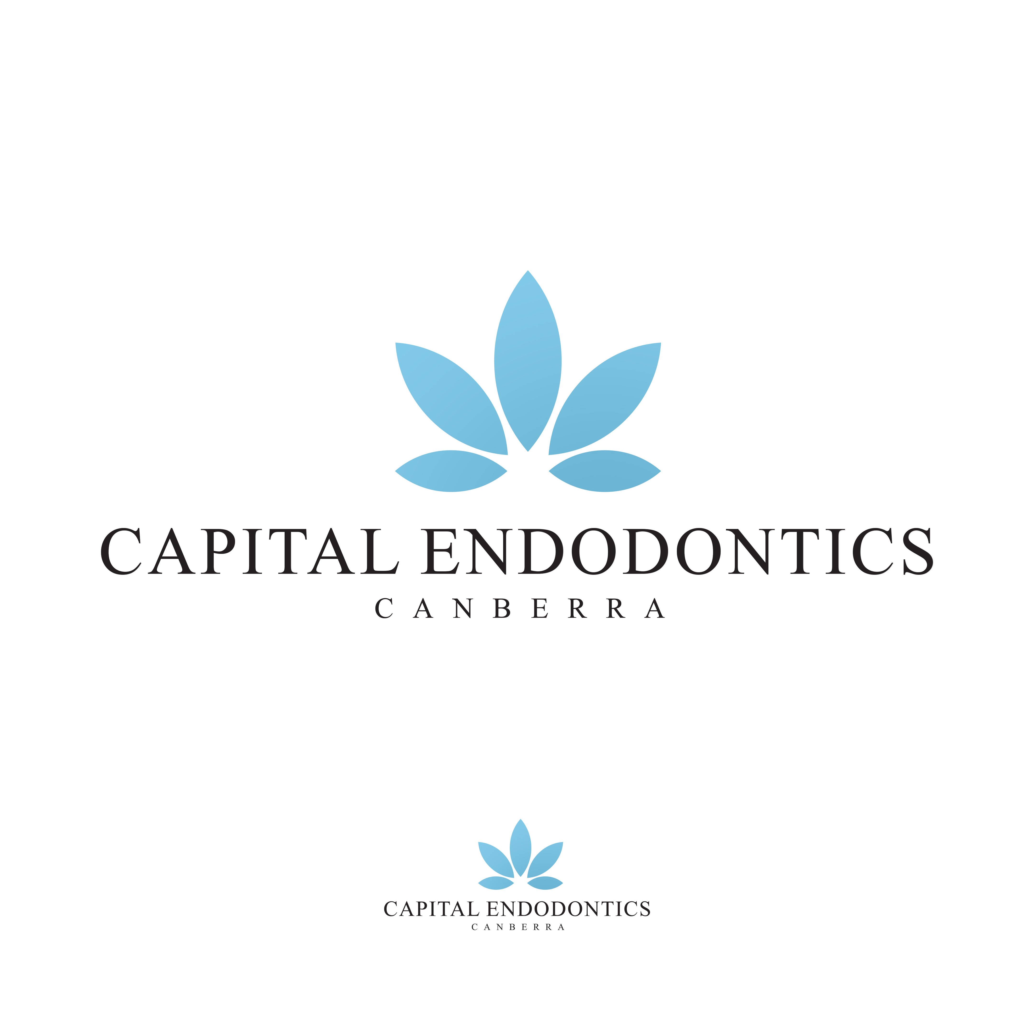 Logo Design by shanshamir for this project | Design #24100418