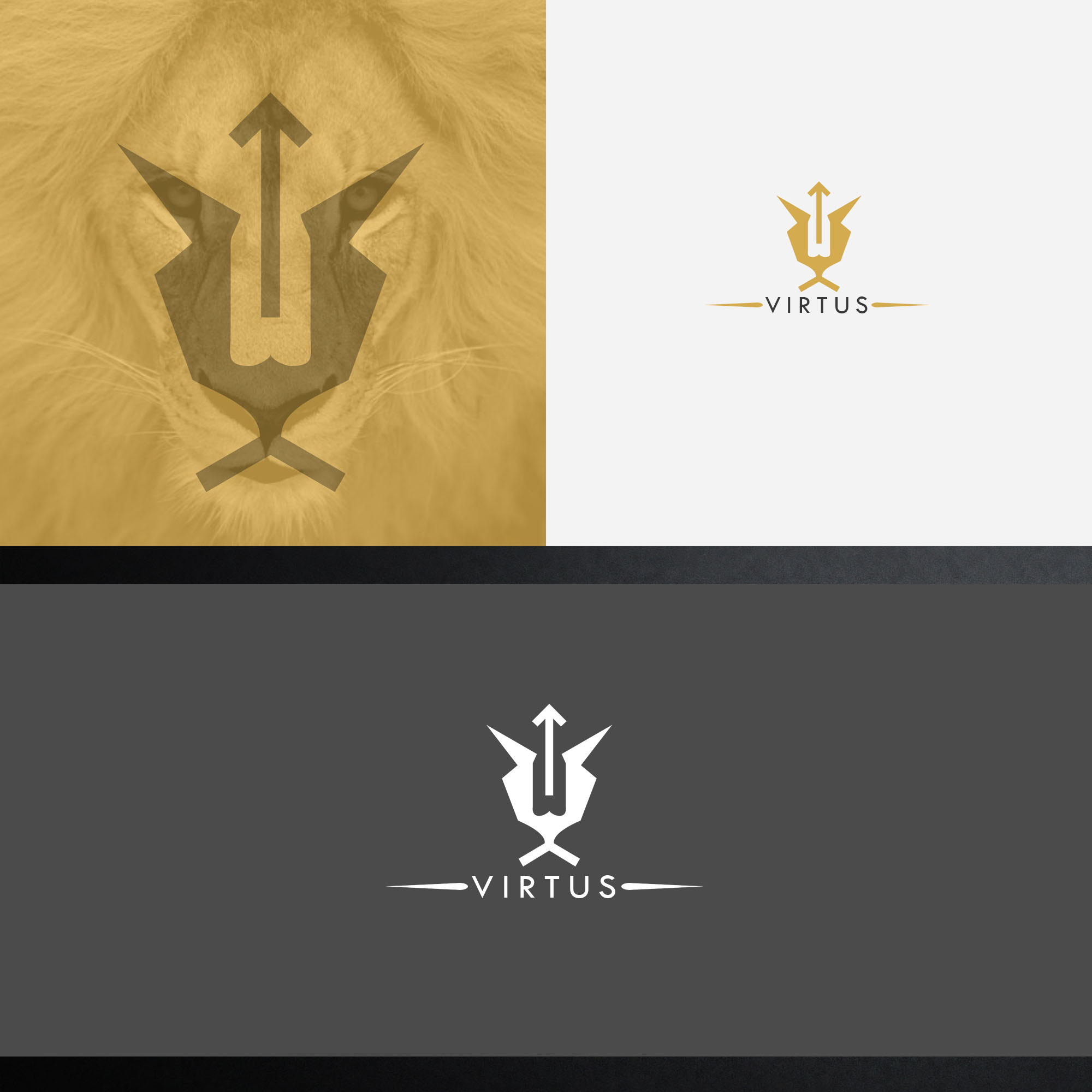 Diseño de Logo por daxesaxes28 para este proyecto | Diseño #24039405