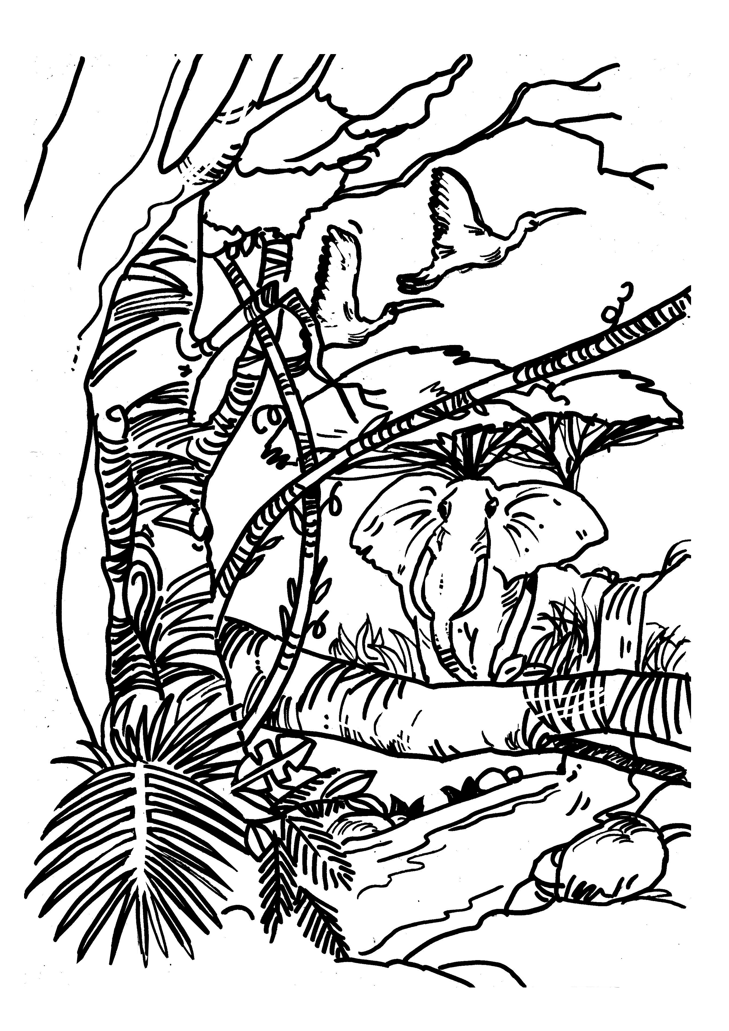 Design Graphique par NJB pour WellEdu Fennica Ltd | Design #24070623