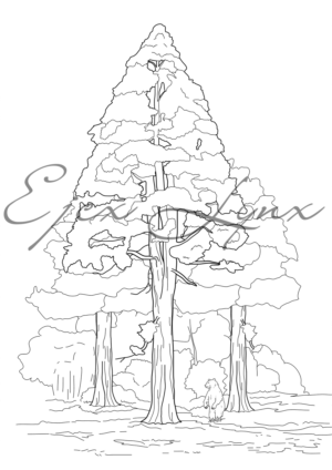 Line drawings for colouring for 2-5-year-old children: Forests, trees and animals | Design Graphique par ejcx