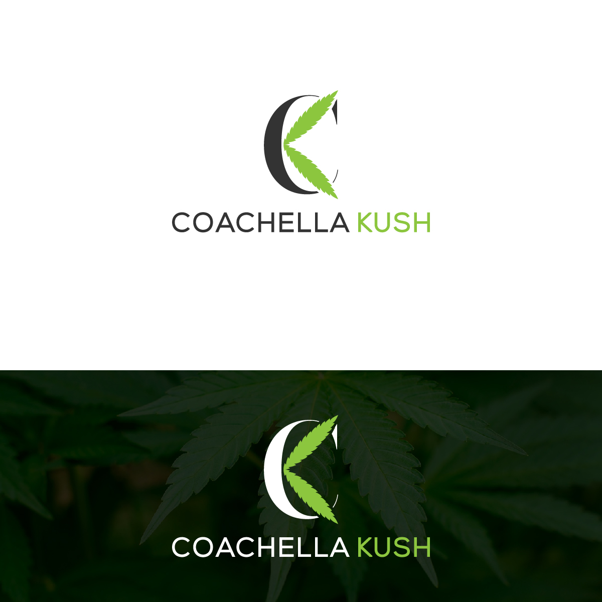 Logo Design by Deziners Zone for this project | Design #24052825