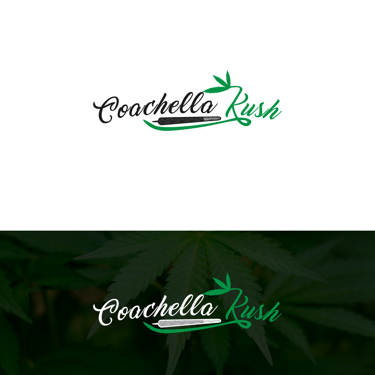 Logo Design by Deziners Zone for this project | Design #24052826