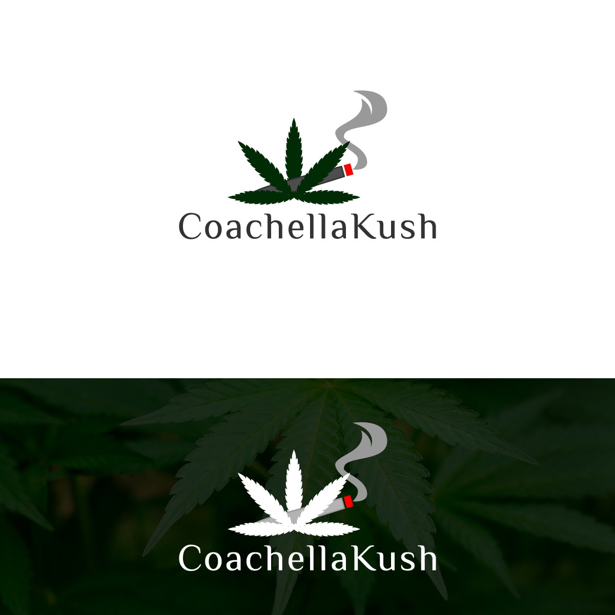 Logo Design by Deziners Zone for this project | Design #24052836