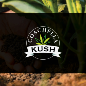 Logo Design by Muhammad Imran 3 for this project | Design: #24051955