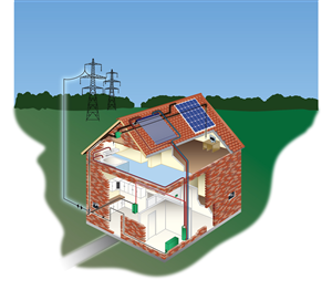 Illustration Design by Kings Bishop Design for this project | Design #729167