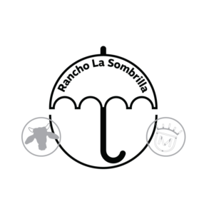 Logo Design by Seun 2