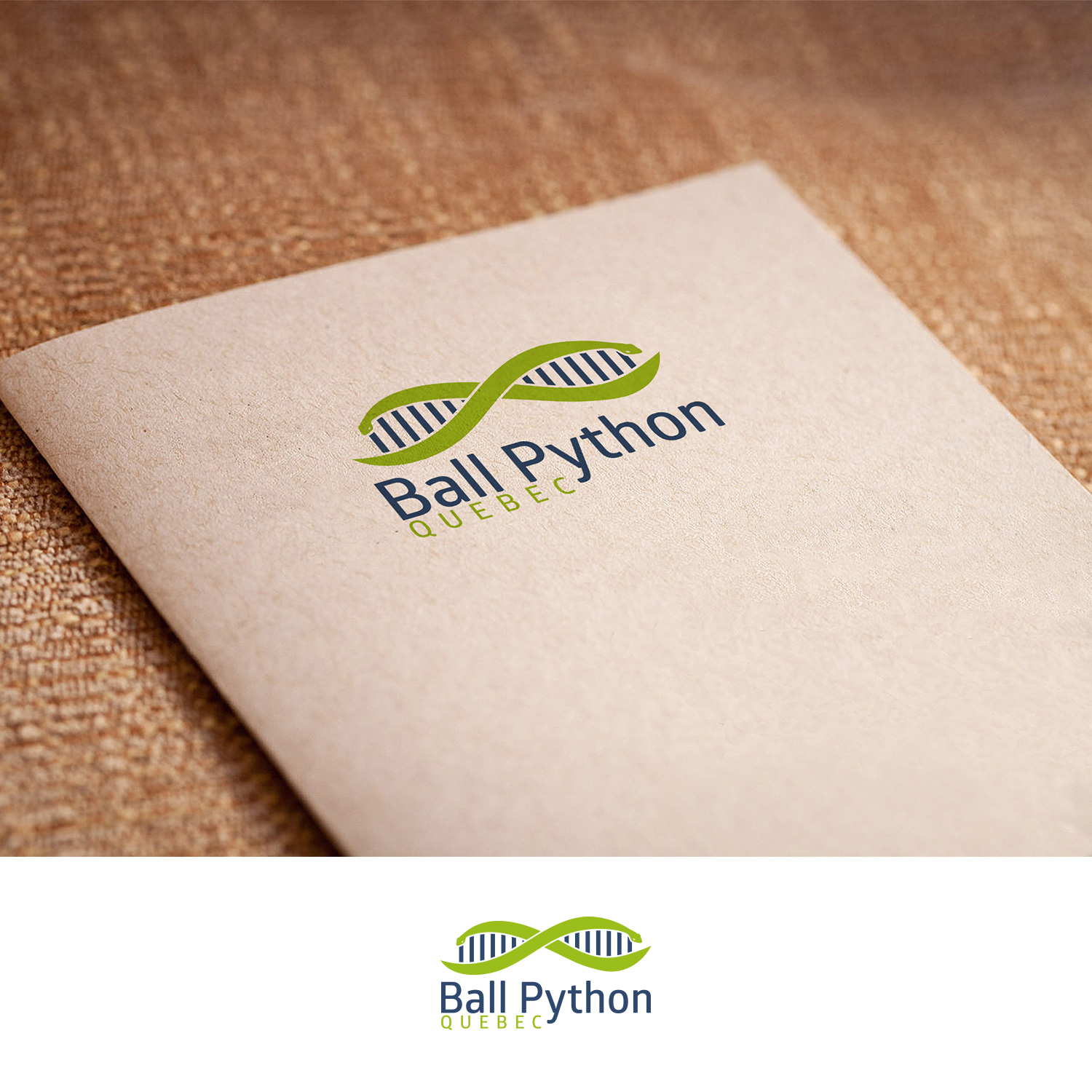 Design de Logo par DesignDUO pour ce projet | Design #24062247