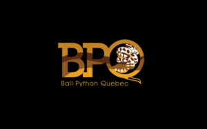 Design de Logo par GODDREAMCREATION pour ce projet | Design #24097682