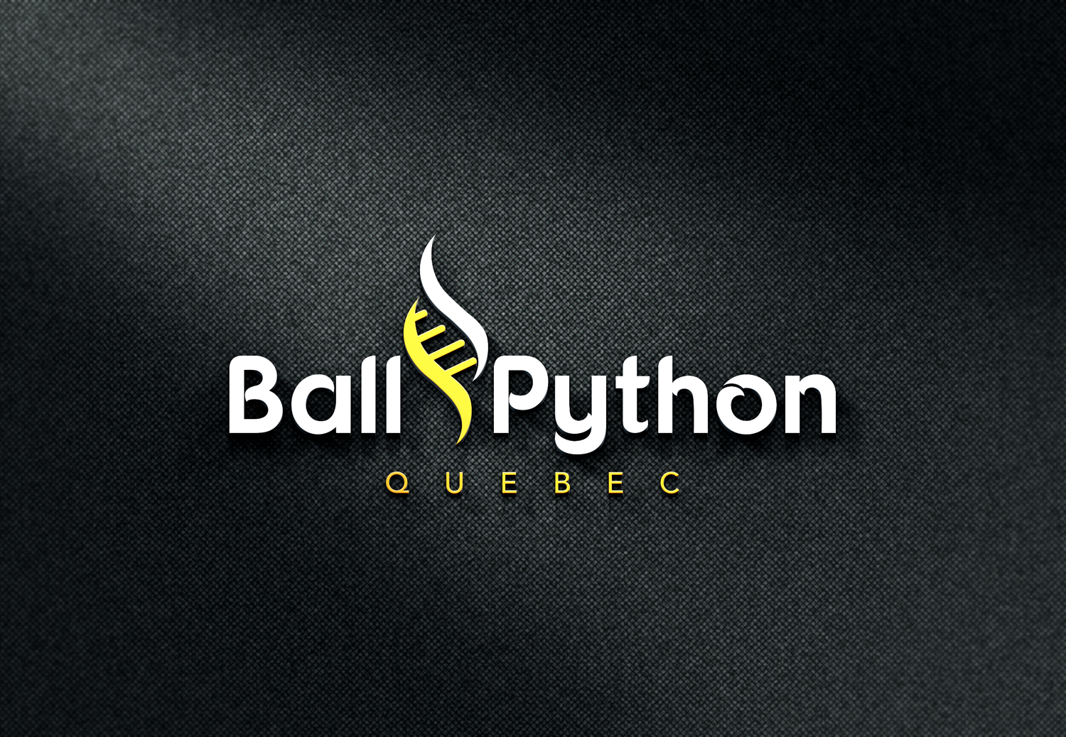 Design de Logo par AinebAyoub pour ce projet | Design #24051251