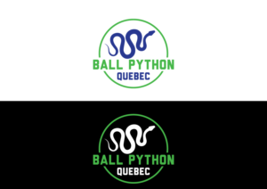 Logo Design by Junaid 23