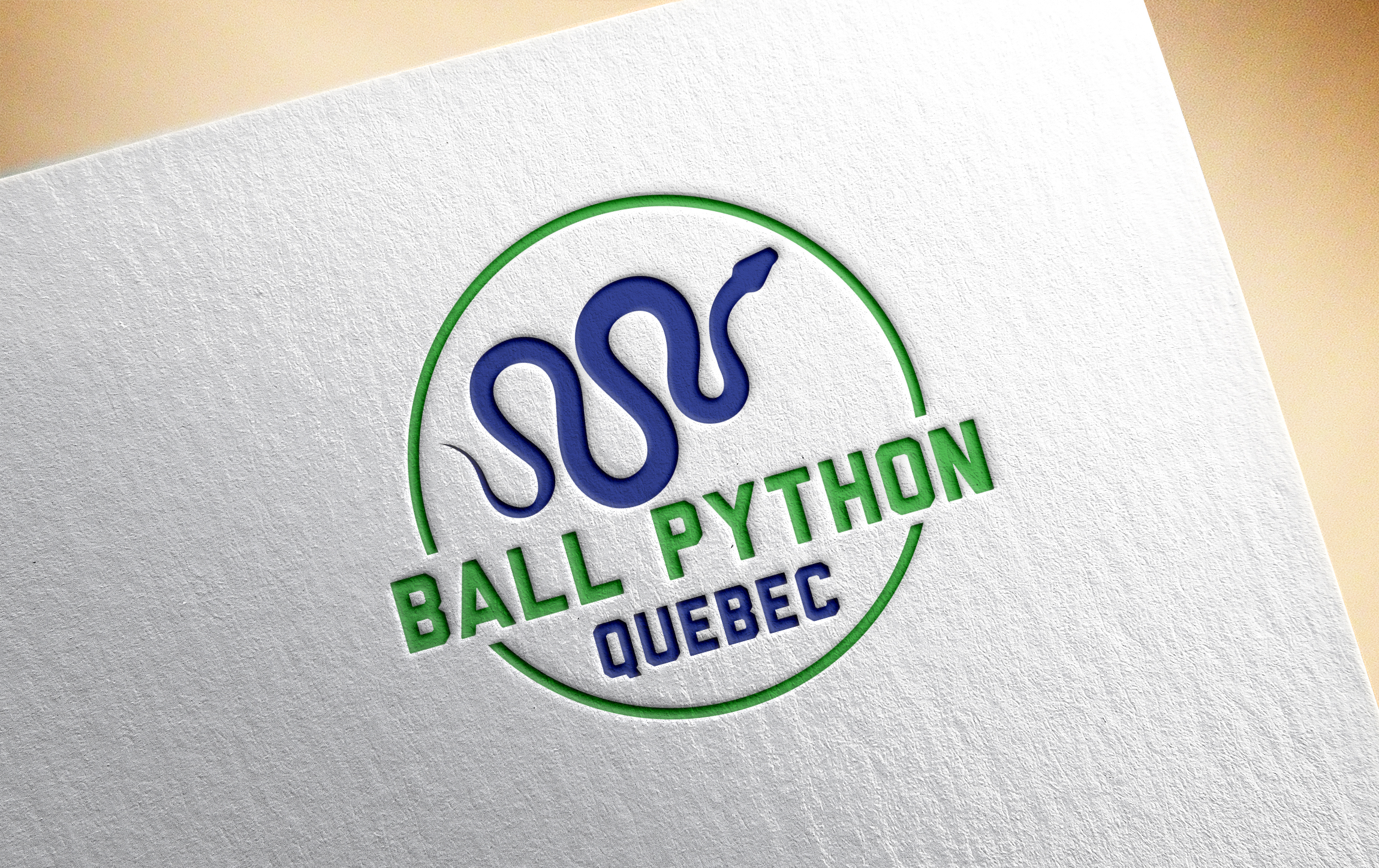 Logo Design by Junaid 23 for this project | Design #24089930